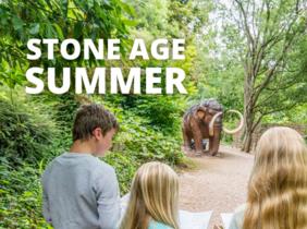 Stone Age Summer